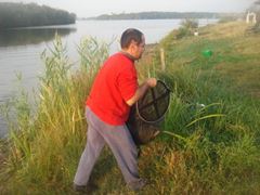 Stolnici
